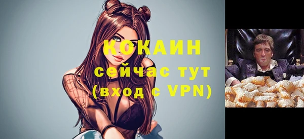 дмт Богородск