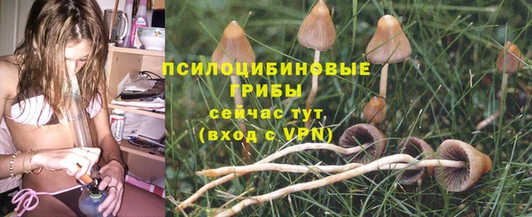 трава Богородицк