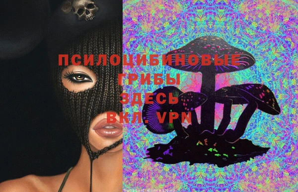 дурь Богданович