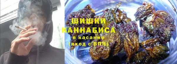 дурь Богданович