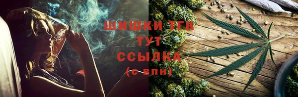 дмт Богородск