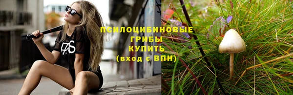 дмт Богородск