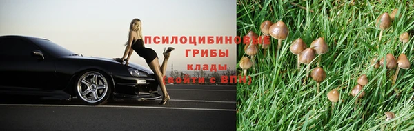 дживик Верея