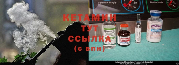 трава Богородицк
